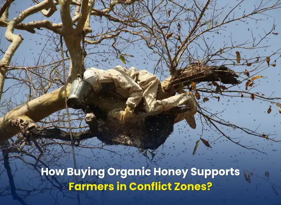 How Buying Organic Honey Supports Farmers in Conflict Zones?