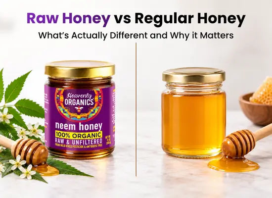 Raw Honey vs Regular Honey: What’s Actually Different and Why it Matters